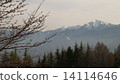 Spring of the Southern Alps 14114646