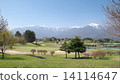 Golf course where you can see the Southern Alps 14114647