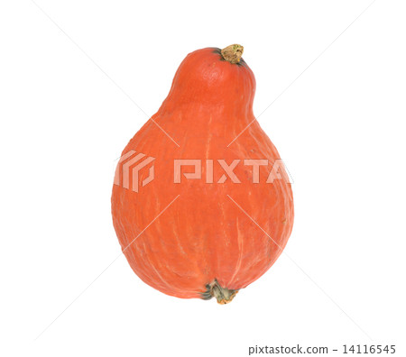 Orange Pumpkin Isolated on White Background 14116545
