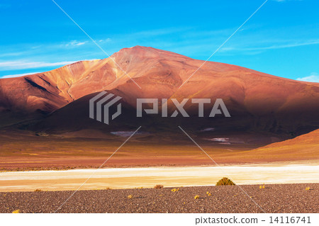 Northern Argentina 14116741