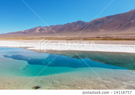 Salinas in Argentina Salinas in Argentina 14116757