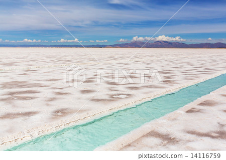Salinas Salinas 14116759