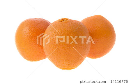 Oranges Isolated on White Background Oranges Isolated on White Background 14116776