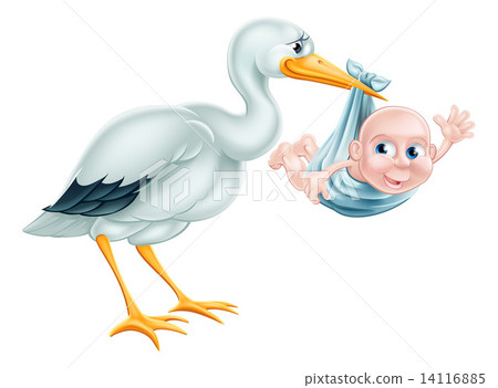 Stork and Baby Cartoon 14116885