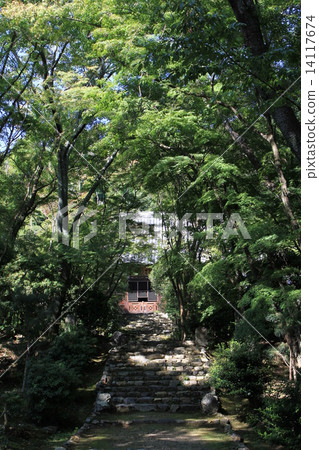 Jukuji Temple 14117674