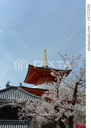 Takarazuka Takarazuka 14117836