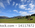 Austrian landscape 14117872