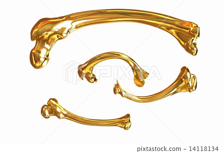 Set of gold bone 14118134