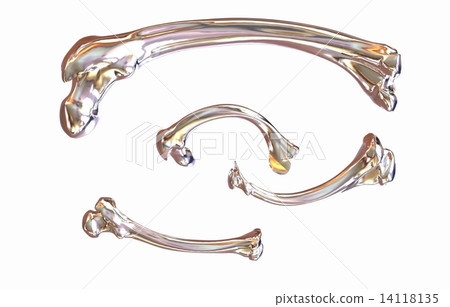 Set of metal bone 14118135