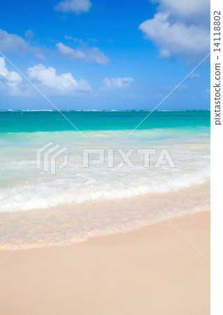 Vertical coastal sea landscape. Atlantic ocean coast 14118802