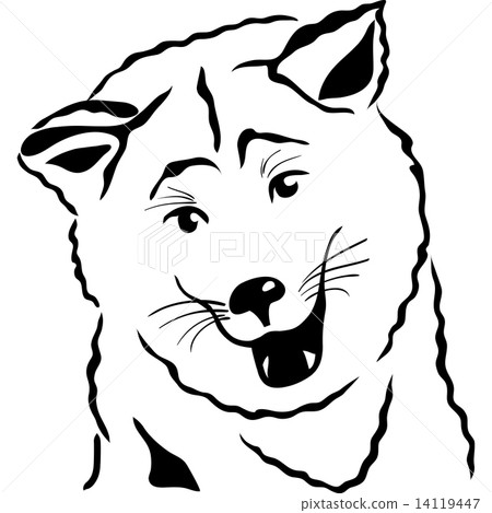vector sketch Akita Inu Japanese Dog vector sketch Akita Inu Japanese Dog 14119447