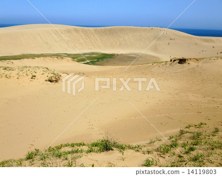 鳥取沙丘 14119803