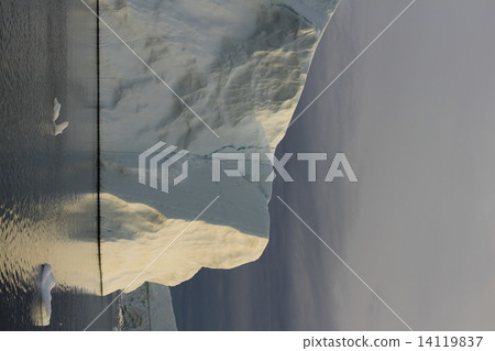  格陵蘭冰川白夜遊（格陵蘭冰川 - 午夜太陽之旅） 14119837