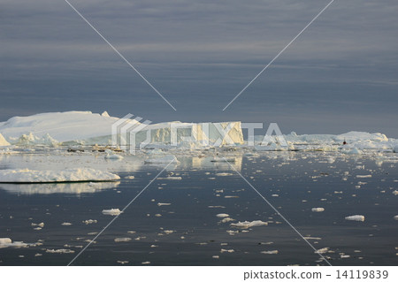  Greenland Glacier White Night Cruise (Glaciers in Greenland - the midnight sun tour) 14119839
