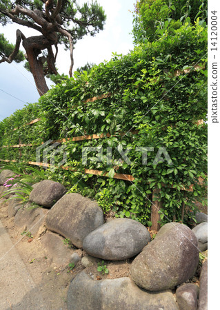 A fence of a wedge 14120004