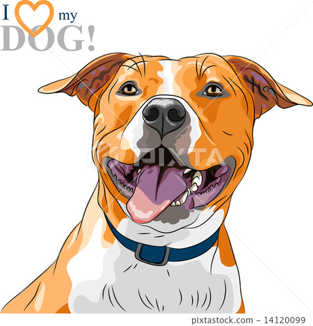 圖庫插圖: vector sketch smiling dog american staffordshire