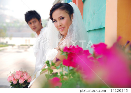 wedding 14120345