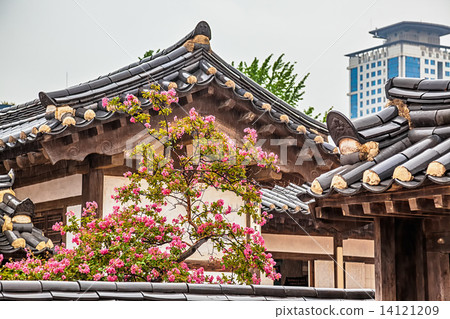 Traditional old korean building with tree and flowers 14121209