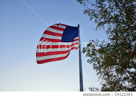 American Flag 14122261