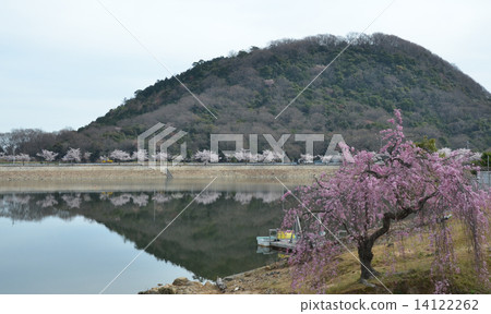 Nishinomiya 14122262