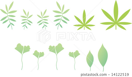 Grass Grass 14122519