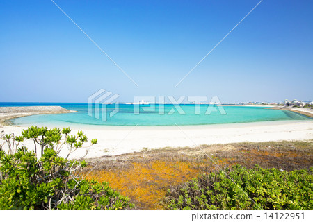 在沖繩·島崎海灘的海灘 在沖繩·島崎海灘的海灘 14122951