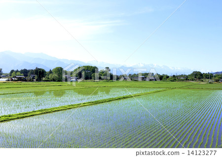 A countryside countryside 14123277
