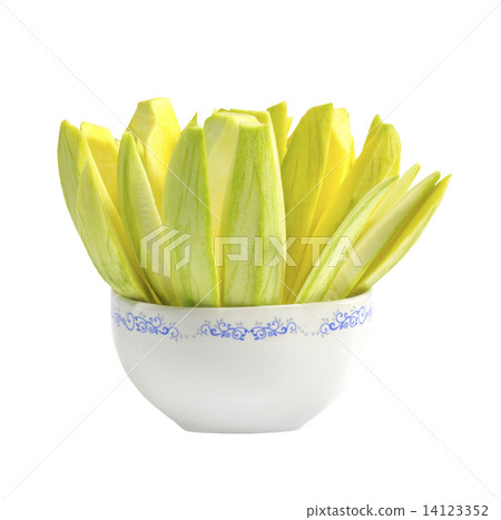 Mango slice in bowl 14123352