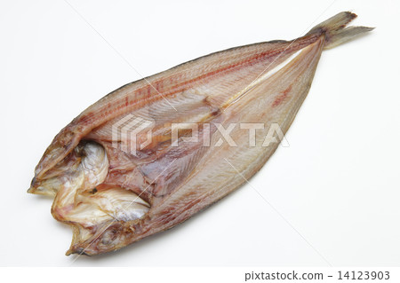 打開曲棍球 14123903