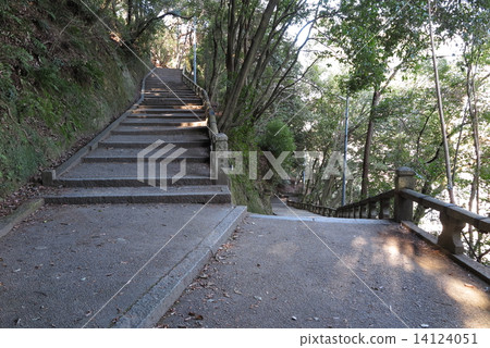 表參道的石獅水神社的七個回合 14124051