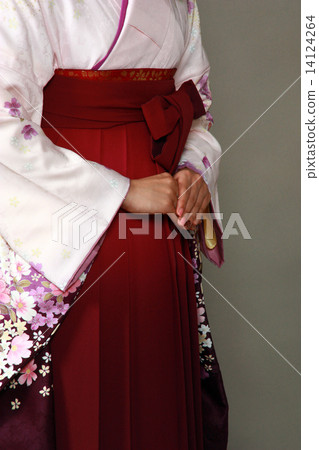 Kimono Kimono 14124264
