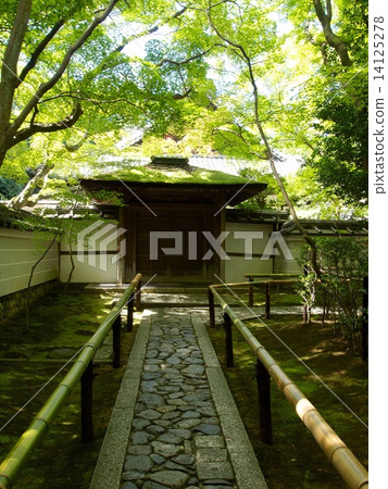Fresh green of Daitokuji Takashiin 14125278