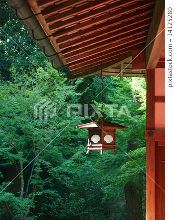 Daitokuji Takashiin的新鮮綠色 14125280