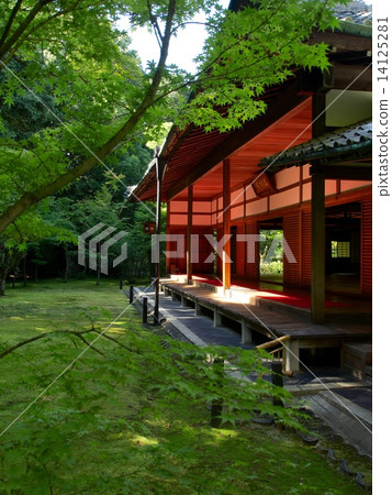 Daitokuji Takashiin的新鮮綠色 14125281