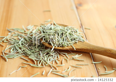 幹迷迭香 14125332