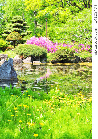 一個花園 14125473