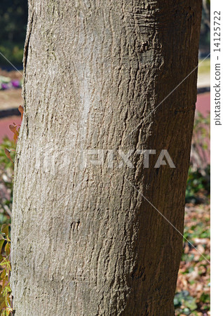 Ilohamo Mizuji(Itoha Konoha) Ilohamo Mizuji(Itoha Konoha) 14125722