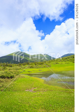塔莫漢濕地的八甲田山成龍 塔莫漢濕地的八甲田山成龍 14126026