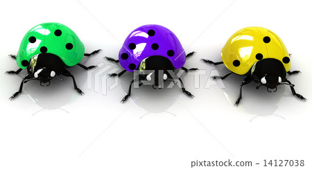 Ladybirds Ladybirds 14127038
