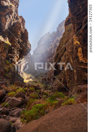 Famous canyon Masca at Tenerife - Canary 14127305