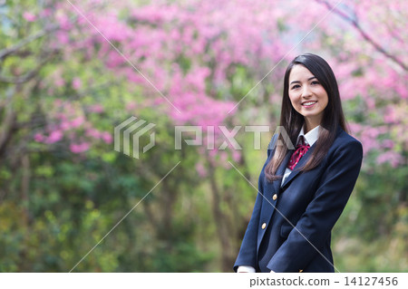 Cherry blossoms and girls students 14127456