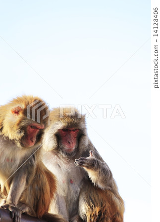 新年卡材料(年份) 新年卡材料(年份) 14128406