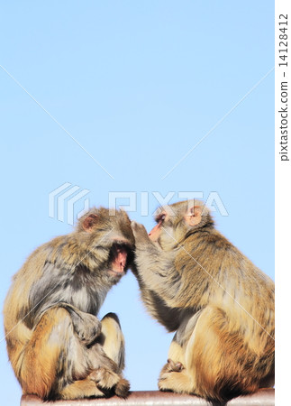 新年卡材料（年份） 14128412