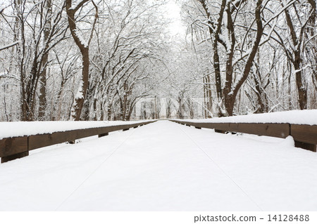 雪路 14128488
