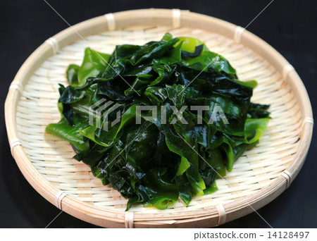 seaweed 14128497