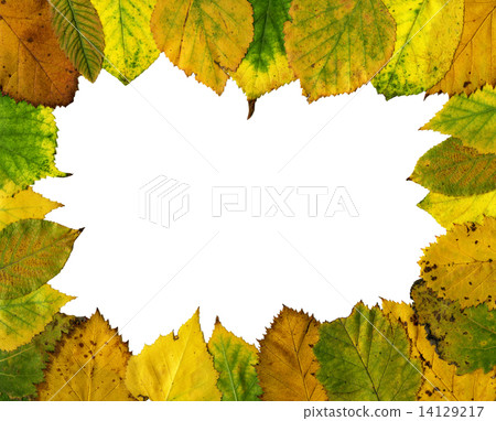 Autumn leaves frame Autumn leaves frame 14129217