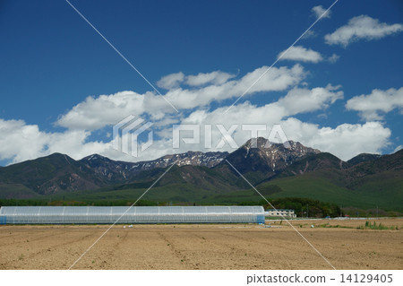 Yatsugatake fresh green gradation Yatsugatake fresh green gradation 14129405