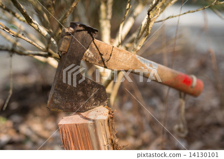在木柴困住的一把老軸 14130101