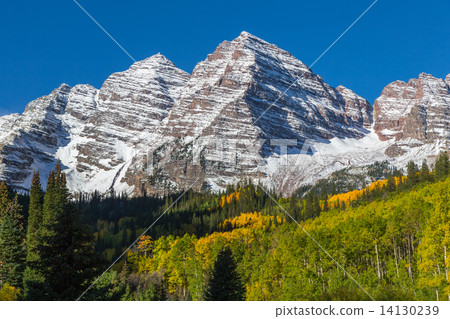 Maroon Bells Aspen Colorado in Fall 14130239