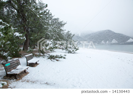 Matsubara winter view of the atmosphere 14130443